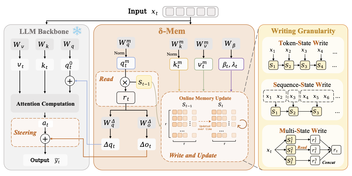 δ-mem architecture and write granularities