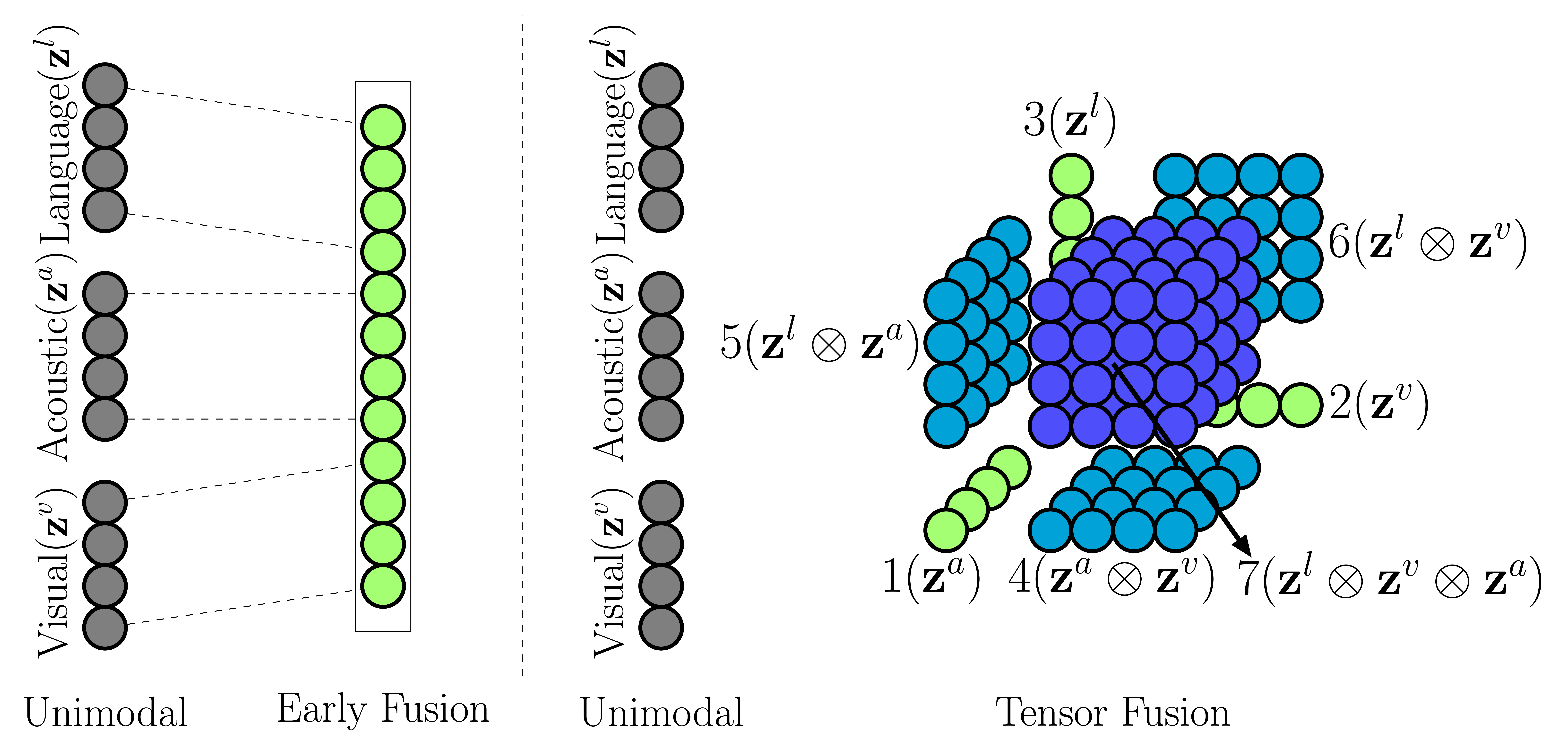Tensor Fusion Network visual